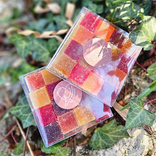 promo lot de 2 boites de pâtes de fruit